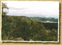 Landiswald Landiswald
