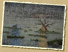 Das Nebelmoor